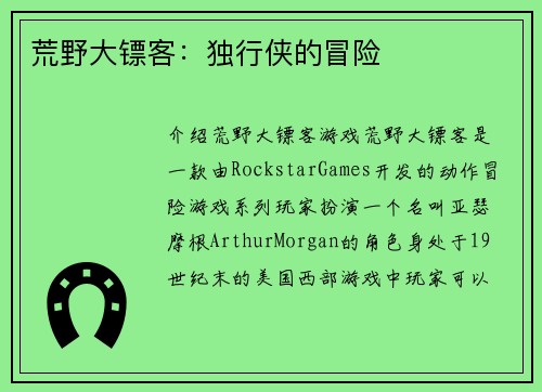 荒野大镖客：独行侠的冒险